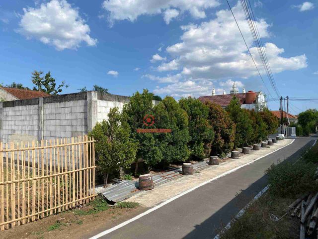 place photo 9