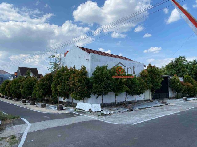 place photo 14