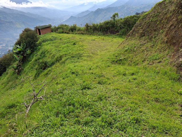 place photo 36