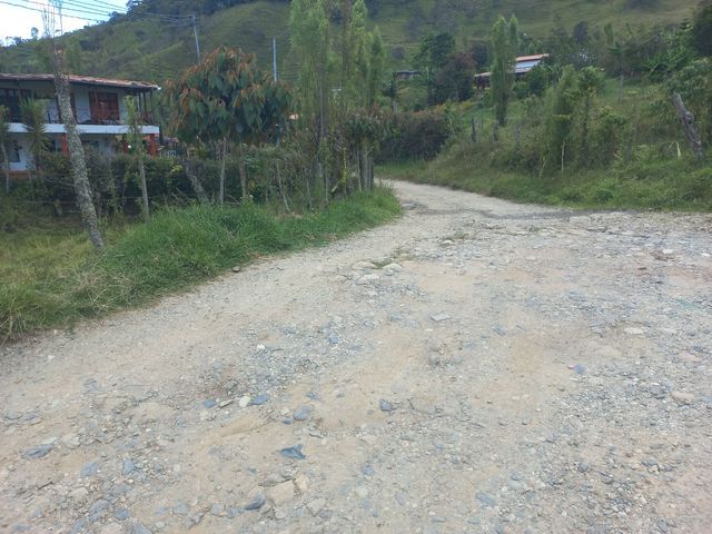 place photo 61