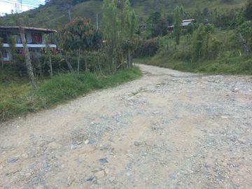 place photo 61