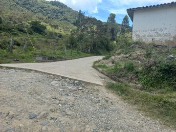 place photo 62