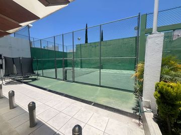 place photo 26