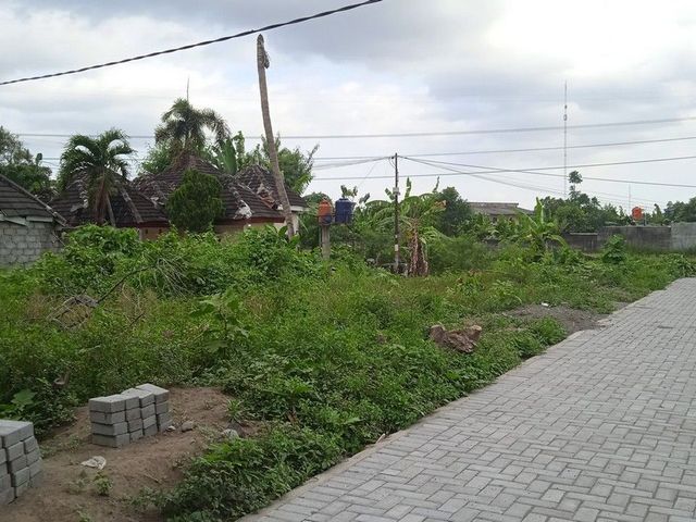 place photo 4