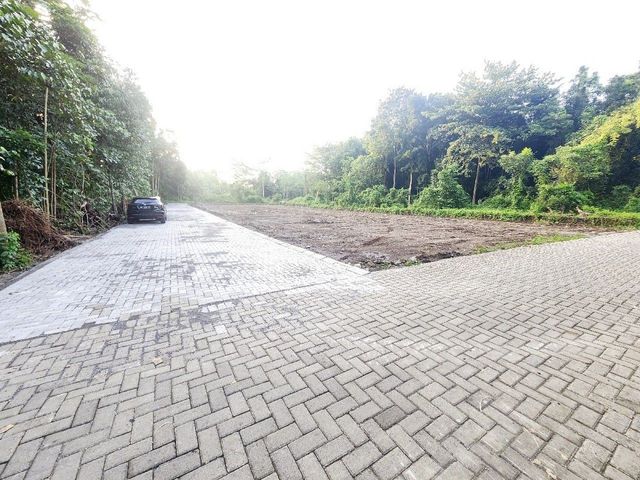 place photo 4