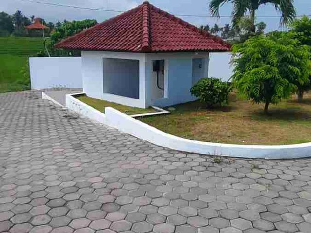 place photo 11