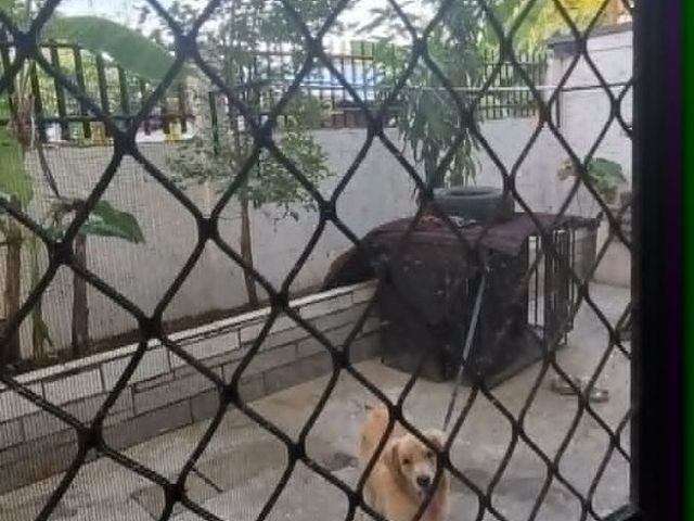 place photo 53