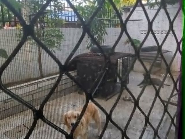 place photo 54