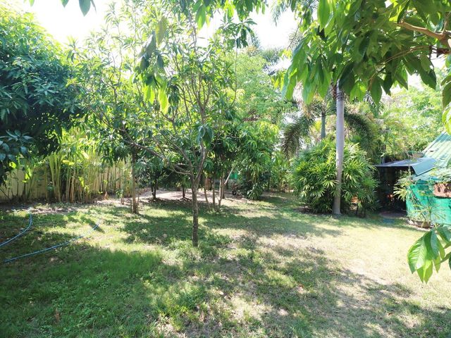 place photo 18
