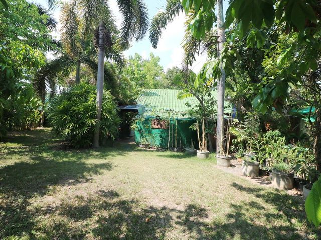 place photo 19