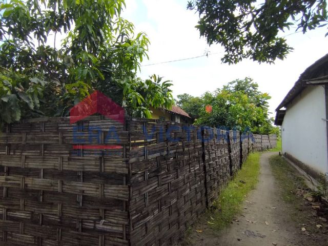 place photo 8