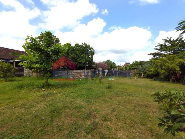 place photo 14