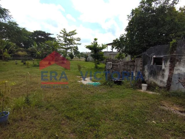 place photo 17