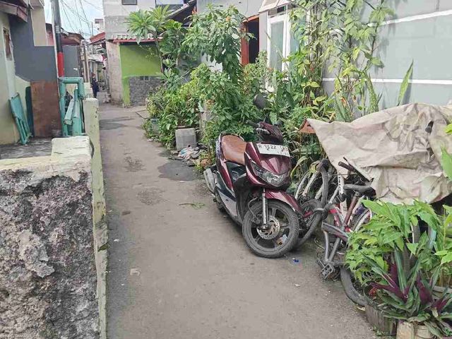 place photo 10