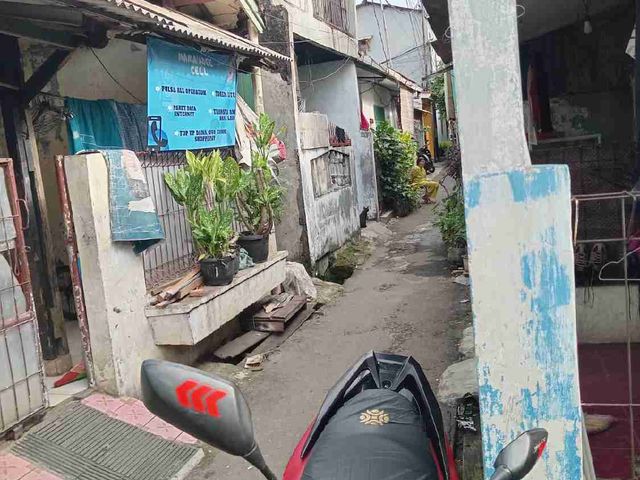 place photo 12