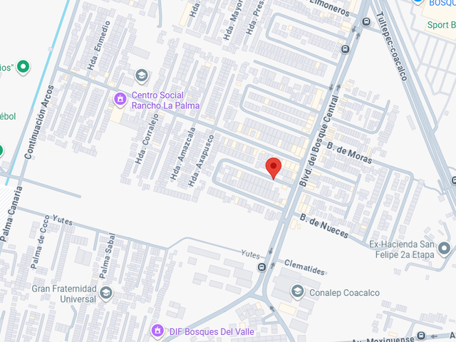place photo 16