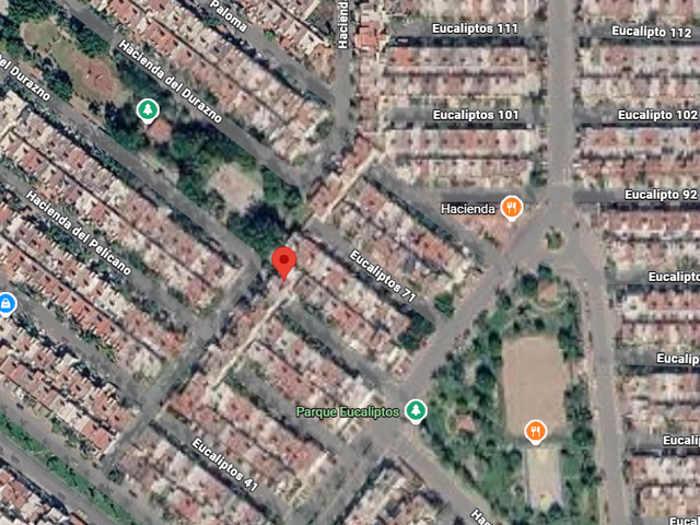 place photo 7
