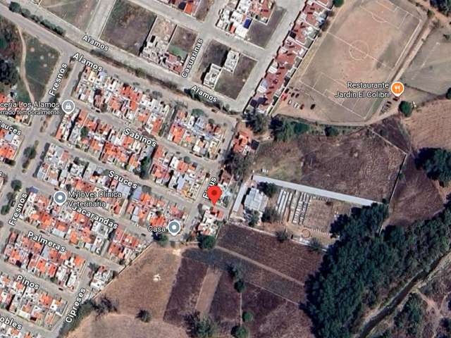place photo 7