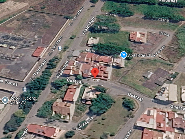 place photo 7