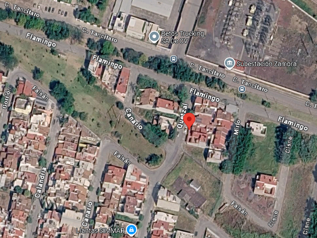 place photo 8