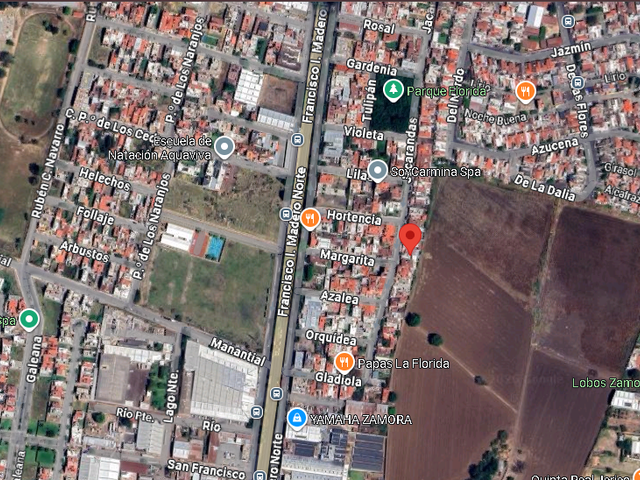 place photo 7
