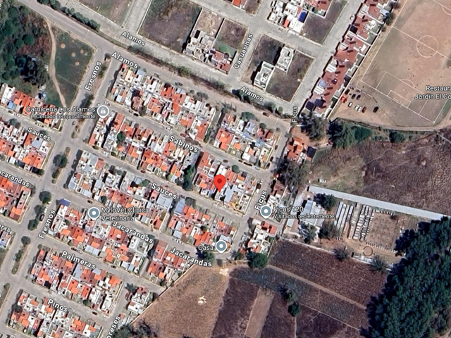 place photo 6
