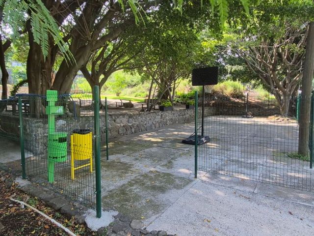 place photo 13