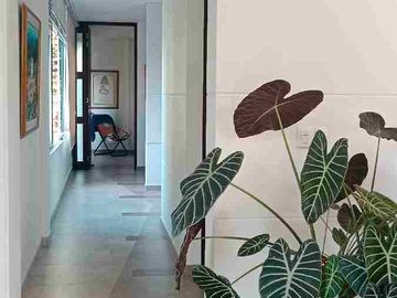 place photo 40