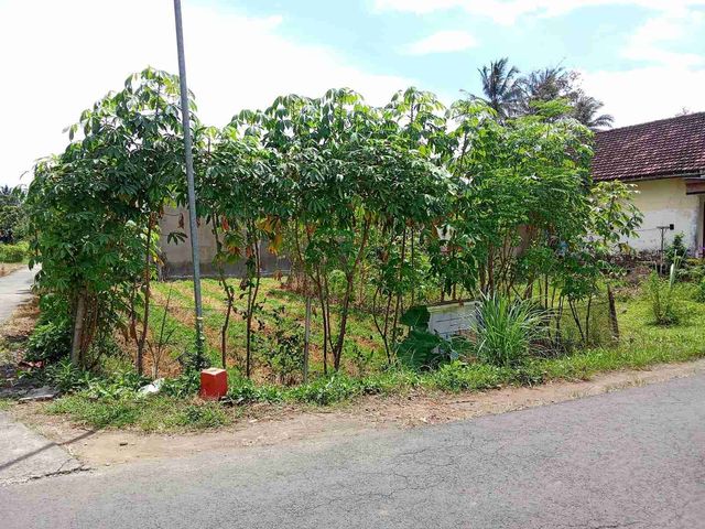 place photo 3