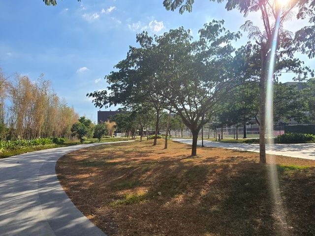 place photo 20