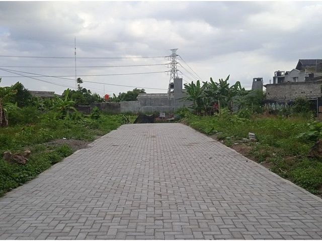 place photo 4