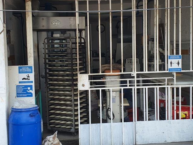 place photo 5