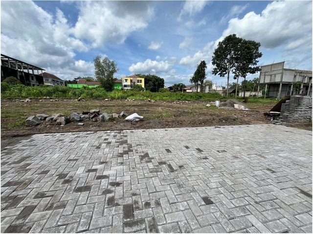 place photo 7