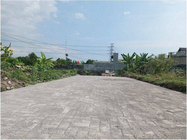 place photo 6