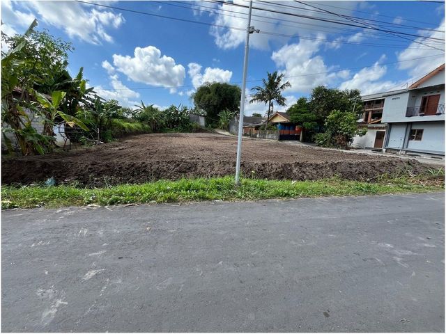 place photo 7