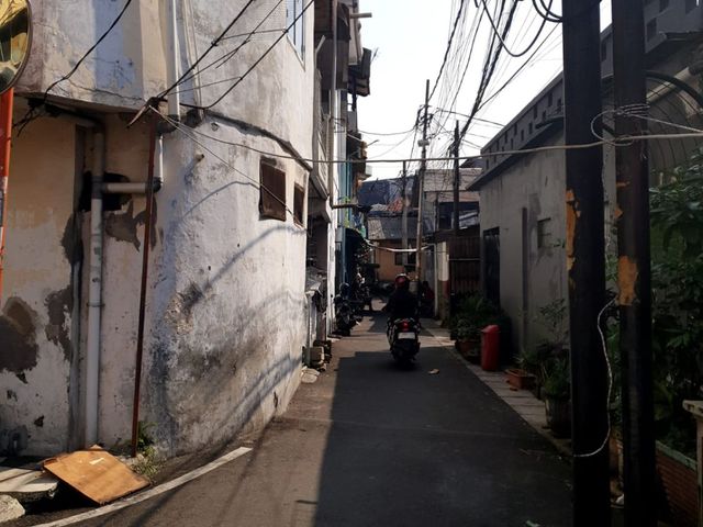 place photo 11