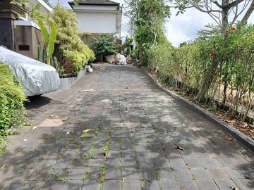 place photo 19