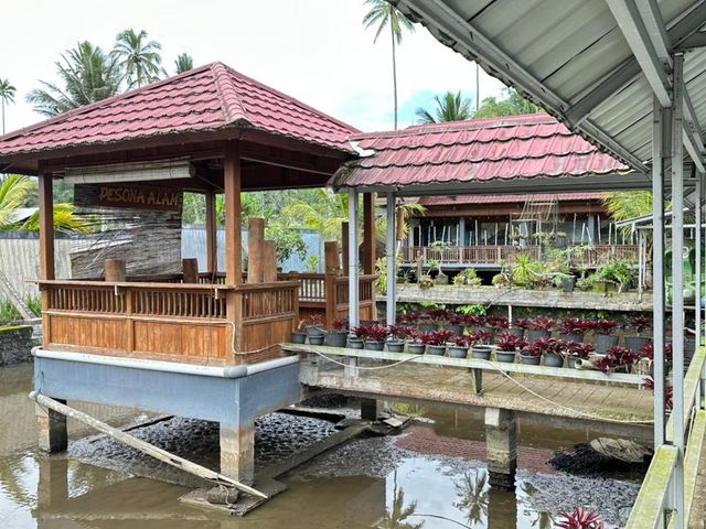 place photo 28