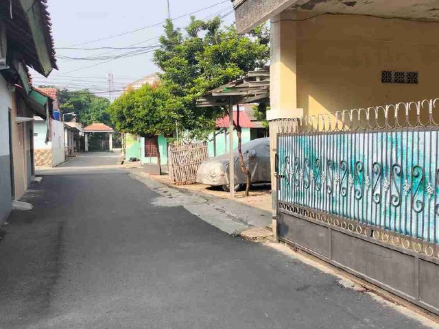 place photo 11