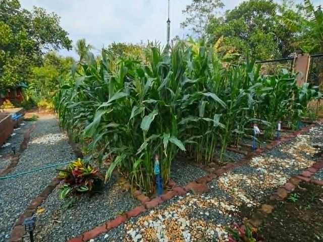 place photo 16