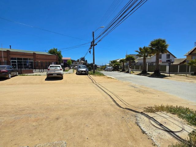 place photo 12