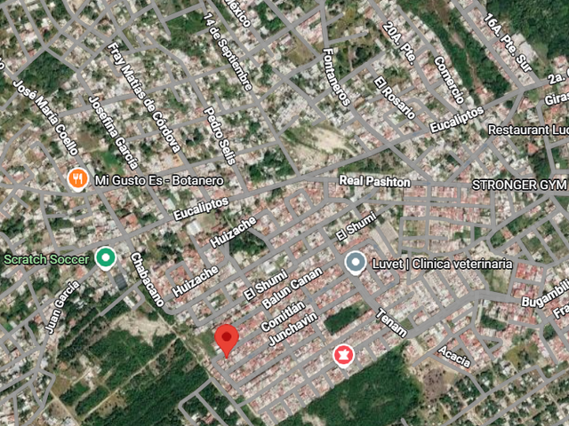 place photo 6