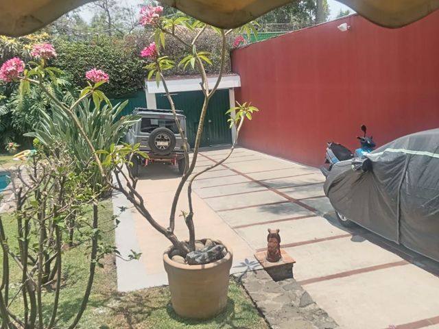 place photo 46