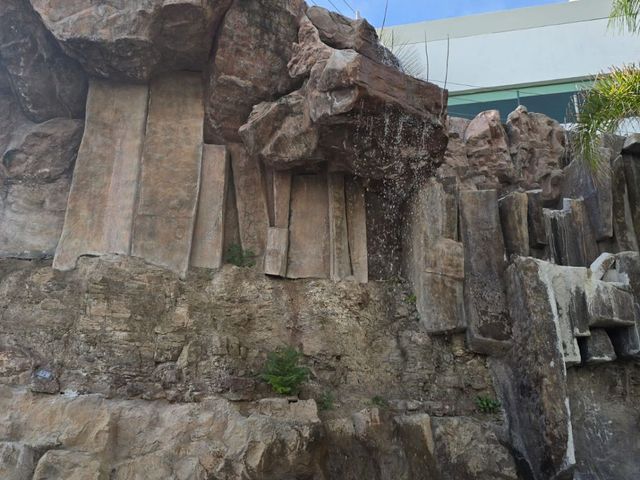 place photo 22
