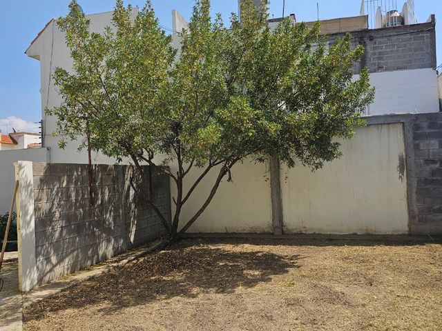 place photo 39