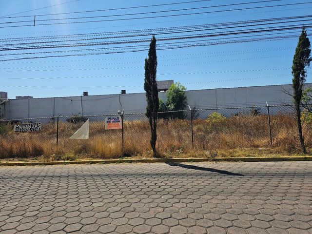 place photo 14