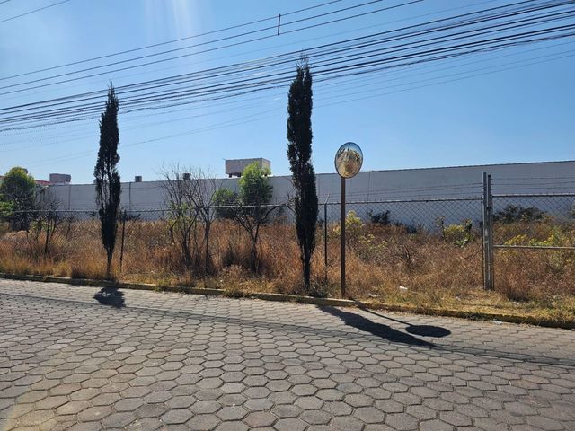 place photo 9