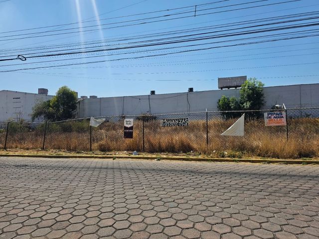 place photo 13