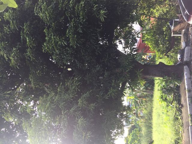 FOR SALE! LOT IN VERMONT ROYALE EXECUTIVE VILLAGE, RIZAL