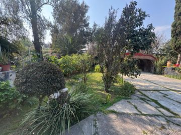 place photo 36